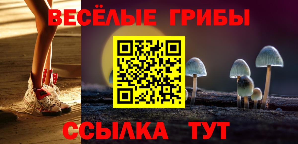 Северск  Галлюциногенные грибы ЛСД  закладка  Вход с VPN 