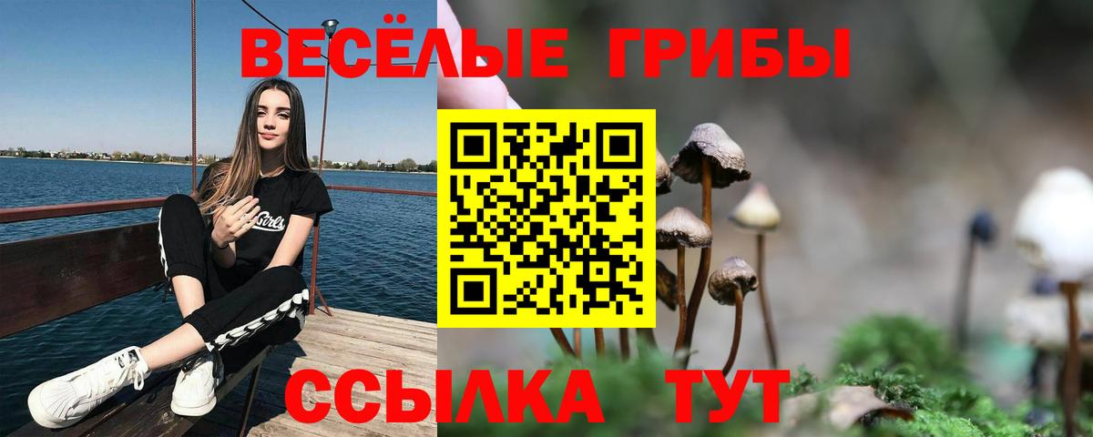 Псилоцибиновые грибы прущие грибы Северск